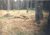 Mal schnell ein Schnappschuss von mir (stehend). Das scheiss Loch musste ich doch glatt 1.80m tief graben.